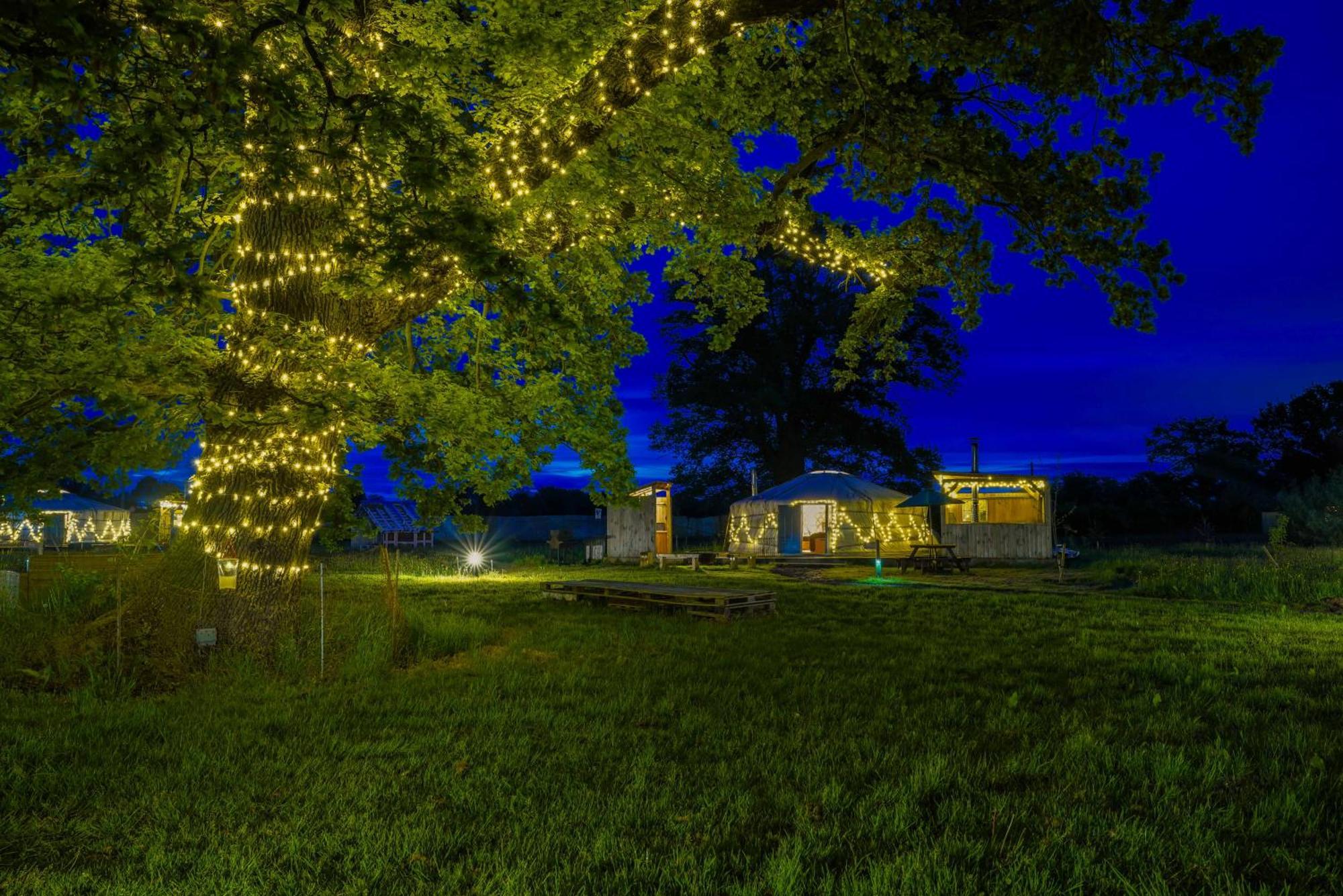 Glamp And Tipple Ltd Luxury tent Great Ellingham